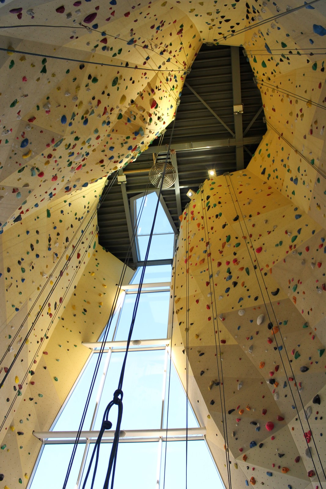 Climbing Gym Dordrecht 1